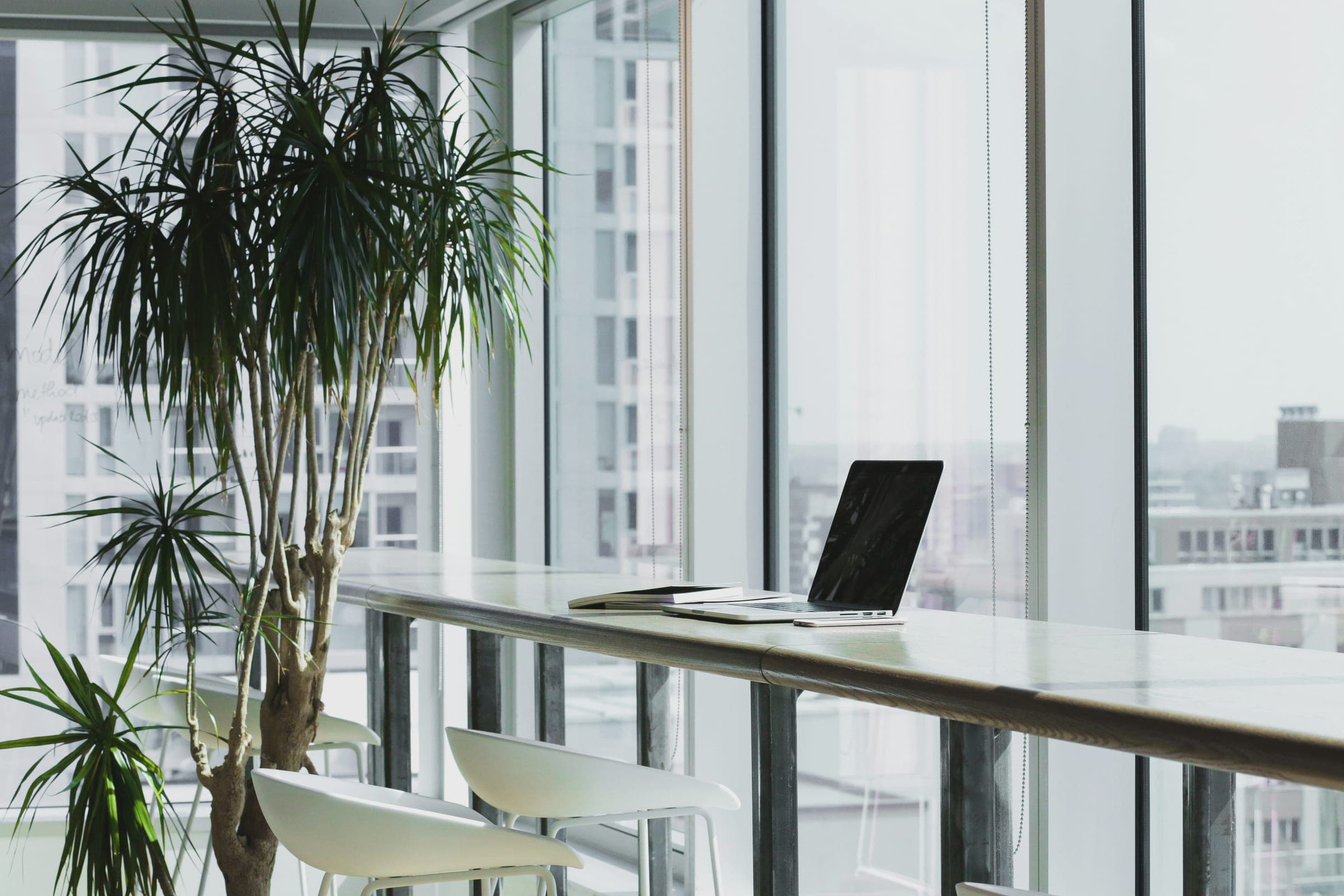 A laptop on a long pale counter beside floor-to-ceiling windows, with a leafy palm and white stools in a bright, gray-toned office.